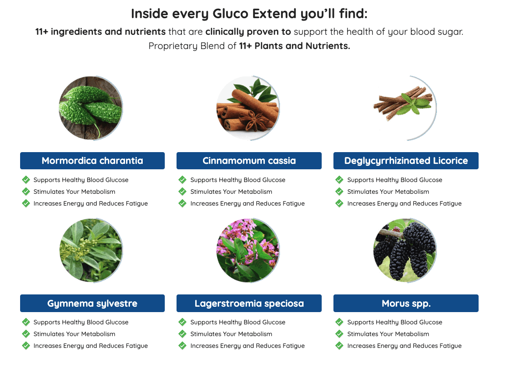 Gluco Extend